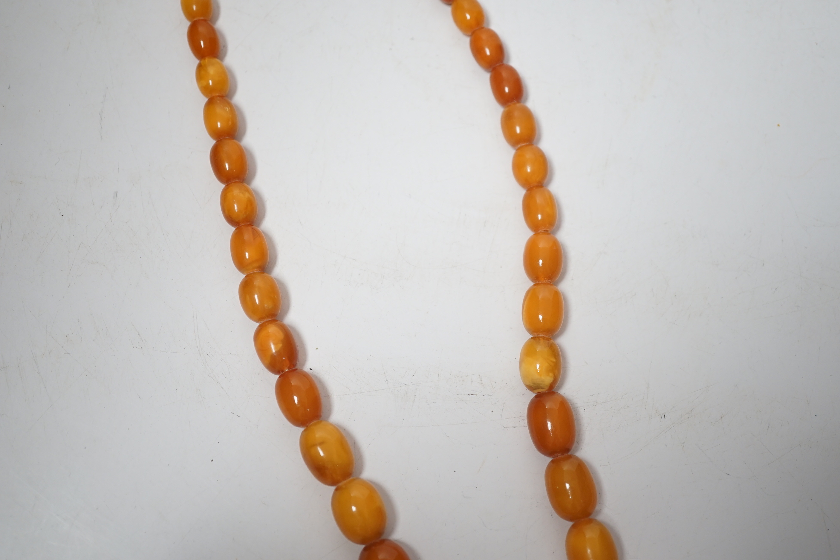 A single strand graduated oval amber bead necklace, 74cm, 83 grams.